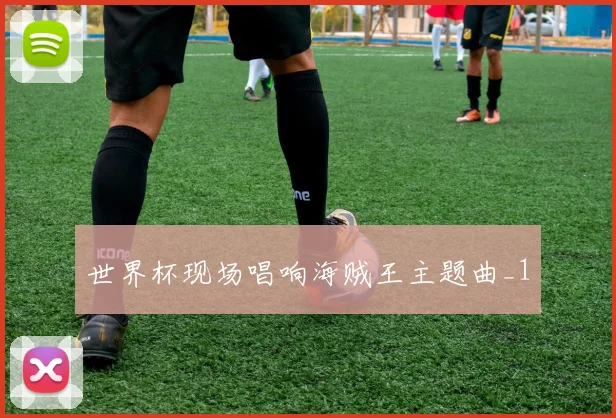世界杯现场唱响海贼王主题曲_1