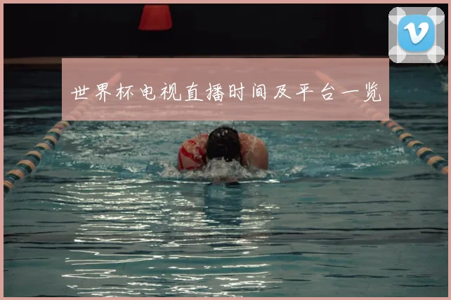 世界杯电视直播时间及平台一览