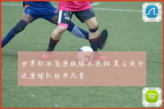 世界杯冰岛原版球衣亮相 复古设计还原球队经典元素